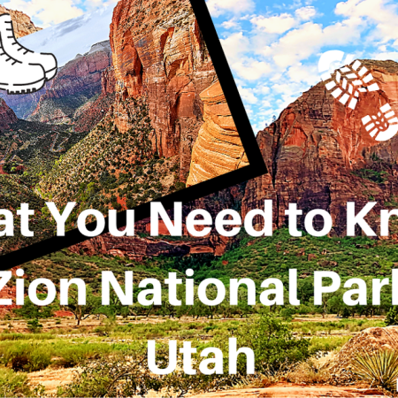 zion national park tips
